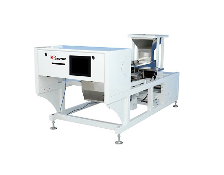 KOYUE COLOR SORTER LD300 BELT MACHINE FOR GARLIC